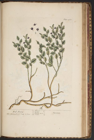 Tafel 463, aus 