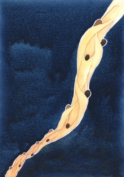 Unsere Fürbitten für die Heiligen Seelen im Fegefeuer, im Namen Jesu, sind wie ein Seil, das sie in Richtung Himmel zieht von Elizabeth Wang