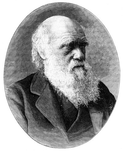 Charles Darwin, englischer Naturforscher des 19. Jahrhunderts, 1900 von Elliott and Fry