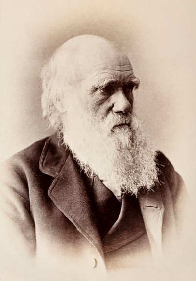 Charles Darwin: Englischer Naturforscher von Elliott und Fry Studio