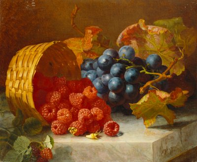 Stillleben mit Himbeeren und einem Traubenbündel auf einem Marmorsims, 1882 von Eloise Harriet Stannard