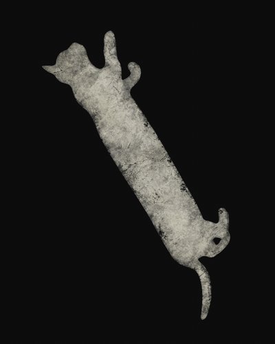 Elegante streckende Katze von Ema Paraschiv