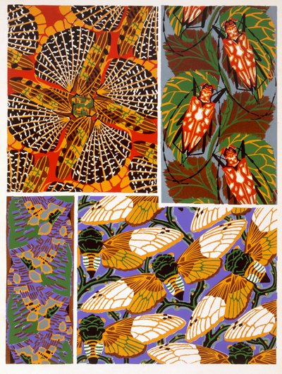 Design mit Insektenmotiv von Émile Allain Séguy