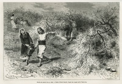Die Sammlung von Kitt, einem weißen Harz der Lentis, während der Sommersaison, ist die Grundlage für die Herstellung eines Anislikörs, Zeichnung von Emile Bayard, zur Illustration der Geschichte „Chio Island“ (Osttürkei), 1877, von Dr. A. Testevuide. Grav von Emile Antoine Bayard
