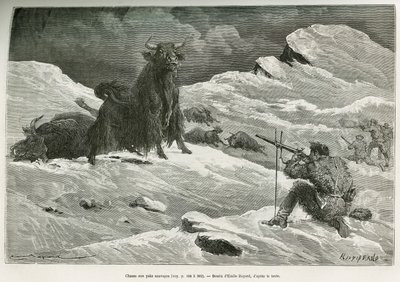 Wildyak-Jagdszene, Zeichnung von Emile Bayard zur Illustration der Reise nach Mongolei und dem Land der Tanguten von 1870 bis 1873, von Oberstleutnant Prjewalski. Gravur in Le tour du monde von Emile Antoine Bayard