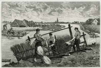 Der Rost des Flachses (Mazeration zur Erleichterung der Trennung der Rinde vom Stängel) in der Lys (Fluss im Norden Frankreichs und Belgiens). Gravur von Emile Claus, zur Illustration der Geschichte „La Belgique“, von Camille Lemonnier (1844-1913), Schrift von Emile Claus