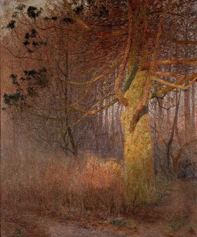 Sonniger Baum von Emile Claus