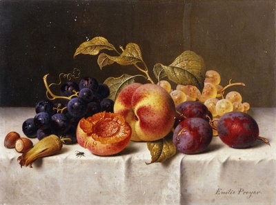 Trauben, Pfirsiche, Pflaumen und Nüsse auf einem drapierten Tisch von Emilie Preyer
