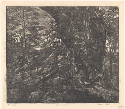 Bäume an einem Dünensaum zwischen Egmond und Bergen von Emilius Wilhelmus Dehé (signed by artist)