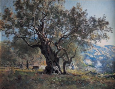 Olivenbäume in Vallonnet an der Straßenseite von Emmanuel Lansyer