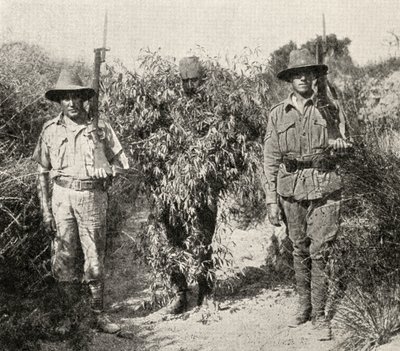 Ein türkischer Scharfschütze, als Busch getarnt, in Gewahrsam nach der Gefangennahme durch ANZAC-Truppen, aus 