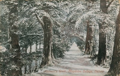 Addisons Walk, Magdalen College, Oxford von English Photographer