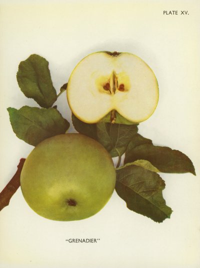 Äpfel von England: Grenadier von English Photographer