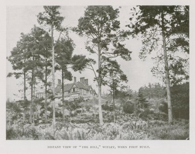 Fernansicht von The Hill, Witley, Surrey, als es erstmals gebaut wurde von English Photographer