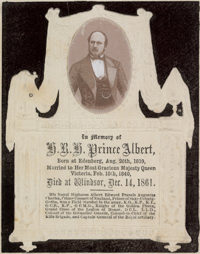 Zum Gedenken an Seine Königliche Hoheit Prinz Albert von English Photographer