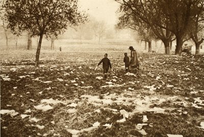 Mit Müll übersäte Wiese auf Hampstead Heath am Tag nach einem Feiertag, aus Wonderful London, veröffentlicht 1926-27 von English Photographer