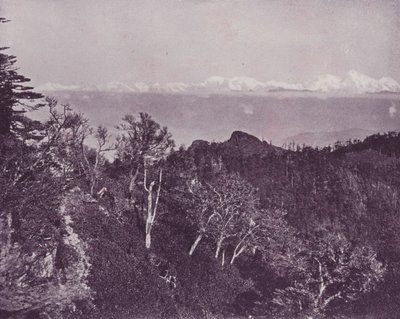 Mount Everest, von Sandakphoo, Darjeeling von English Photographer