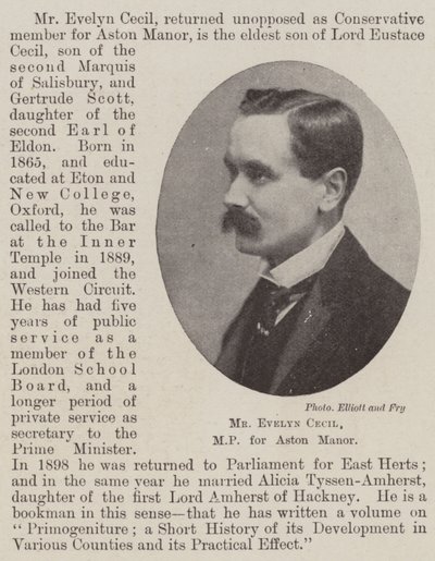 Mr Evelyn Cecil, Abgeordneter für Aston Manor von English Photographer