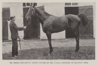 Mr George Edwardess Santoi, Gewinner des Jubiläums-Handicaps im Kempton Park von English Photographer