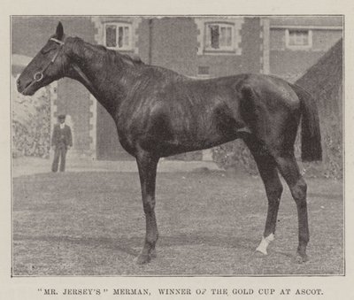 Mr Jerseys Merman, Gewinner des Goldpokals in Ascot von English Photographer