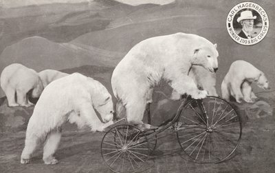 Eisbär fährt Dreirad, Carl Hagenbeck