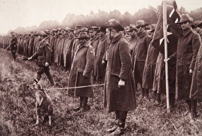 Die Anzac-Überprüfung auf der Salisbury-Ebene: ein australisches Maskottchen, Illustration aus The Illustrated War News, 27. September 1916 von English Photographer