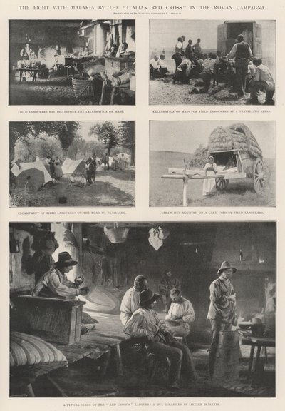 Der Kampf gegen Malaria durch das italienische Rote Kreuz in der römischen Campagna von English Photographer