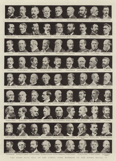 Das Home Rule Gesetz im Oberhaus, einige Mitglieder des Oberhauses, II von English Photographer
