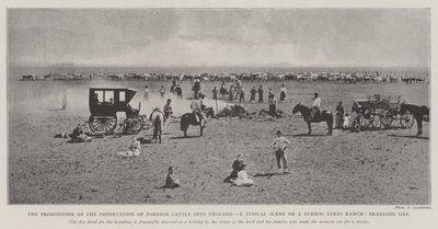Das Verbot der Einfuhr von ausländischem Vieh nach England, eine typische Szene auf einer Ranch in Buenos Ayres, Markierungstag von English Photographer