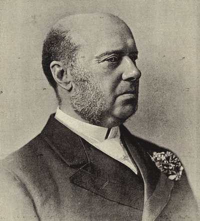 Der ehrenwerte Sir Hercules Robinson, GCMG, ehemaliger Gouverneur des Kaps und Hoher Kommissar Ihrer Majestät für Südafrika von English Photographer