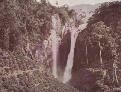 Die Zwillingsfälle (Kaffeeanbau im Vordergrund), Ceylon (koloriertes Foto) von English Photographer