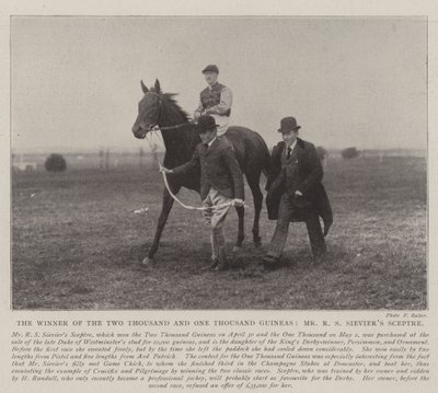 Der Gewinner der Zweitausend- und Eintausend-Guineas, Mr. R. S. Sieviers Sceptre von English Photographer