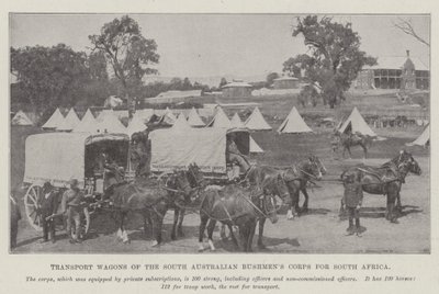 Transportwagen des South Australian Bushmens Corps für Südafrika von English Photographer