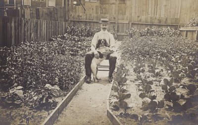 Gemüsegarten von English Photographer