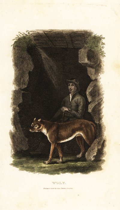 Englischer Gentleman des 18. Jahrhunderts und sein zahmer Wolf, Canis lupus, am Eingang einer Höhle von English School