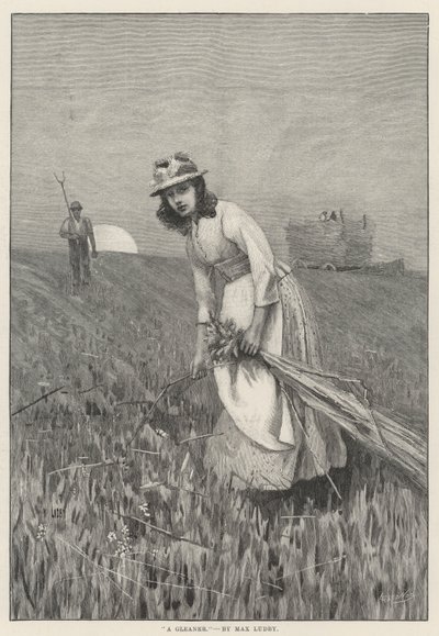 Eine Ährenleserin von English School