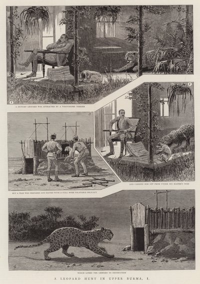 Eine Leopardenjagd in Oberburma, I von English School