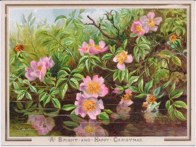 Eine viktorianische Weihnachtskarte, die einen Busch von Hundsrosen an einem Bach zeigt, ca. 1880 von English School