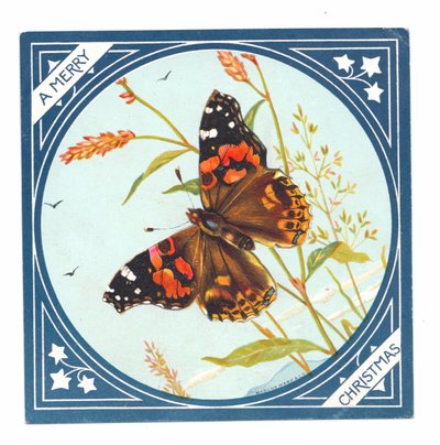 Eine viktorianische Weihnachtskarte eines gemalten Schmetterlings, ca. 1880 von English School