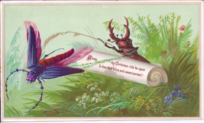 Eine viktorianische Weihnachtskarte mit einem Insekt, Hirschkäfer und einer Schriftrolle mit einer Weihnachtsbotschaft, um 1880 von English School