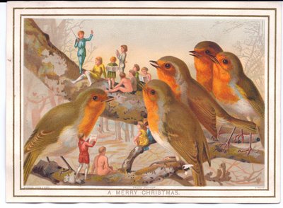 Viktorianische Weihnachtskarte mit fünf Rotkehlchen, die auf einem Ast sitzen und einer Feenband zuhören, ca. 1880 von English School
