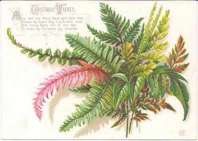 Eine viktorianische Weihnachtskarte mit einem Farnzweig, ca. 1880 von English School