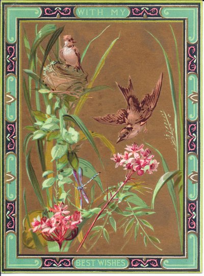 Eine viktorianische Grußkarte mit einem Vogel, der eine Libelle jagt, und einem Vogel auf seinem Nest, ca. 1880 von English School