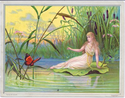 Eine viktorianische Grußkarte mit einer Fee, die auf einem Lotusblatt liegt und einen Schmetterling betrachtet, vor einem Hintergrund aus Binsen, ca. 1880 von English School