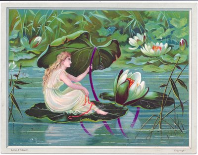 Viktorianische Grußkarte mit einer Fee, die auf einem Bach auf einem Lotusblatt segelt, mit einem Lotusblatt als Baldachin, ca. 1880 von English School
