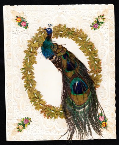 Eine viktorianische Spitzen-Valentinskarte mit einem Pfau mit echten Pfauenfedern, um 1870 von English School