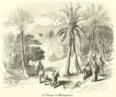 Ein Dorf in Madagaskar von English School