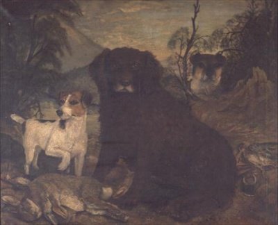 Ein Wasserspaniel und zwei Jack Russells bei der Tagesbeute von English School