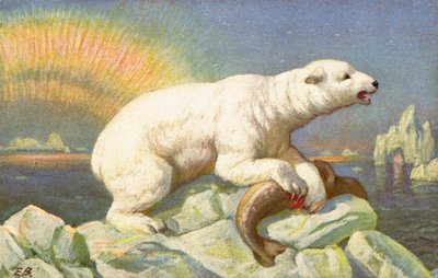 Ein Eisbär steht über dem Körper eines Fisches auf einem Felsen von English School