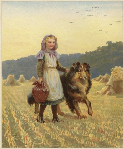 Ein junges Mädchen steht auf einem Feld und legt die Hand auf ihren Collie von English School